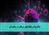 چالش‌ها و راهکارهای سرطان در سالمندان